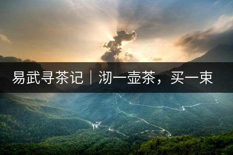 易武尋茶記｜沏一壺茶，買一束花，享半日余暇