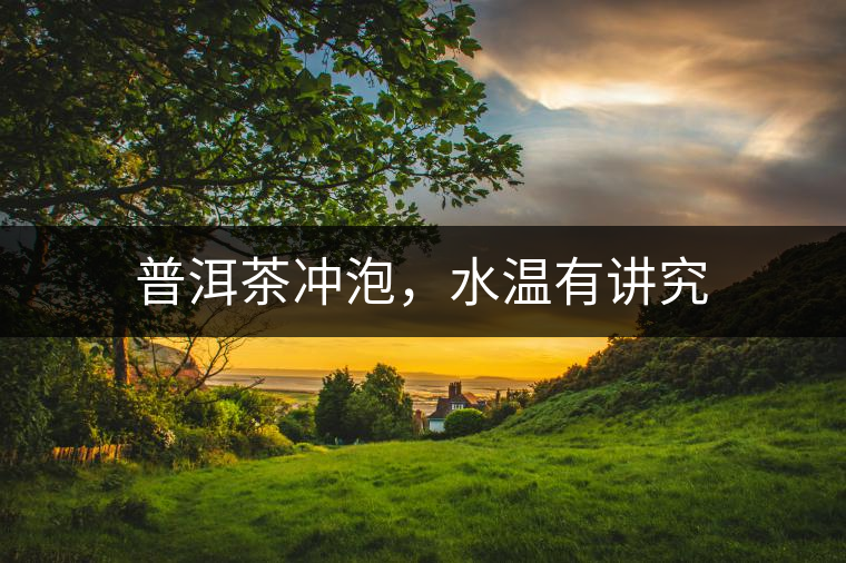 普洱茶沖泡，水溫有講究