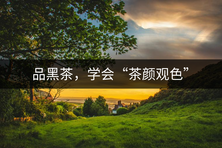 品黑茶，學(xué)會“茶顏觀色”