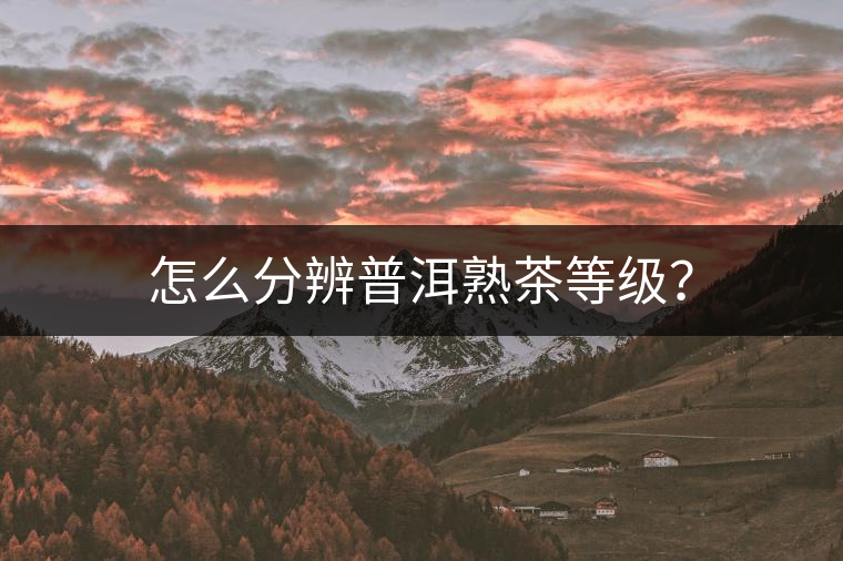 怎么分辨普洱熟茶等級(jí)？