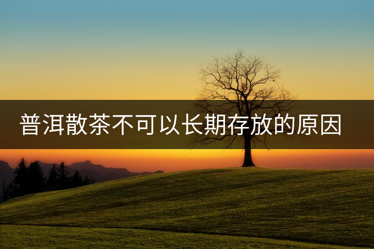 普洱散茶不可以長(zhǎng)期存放的原因是什么？