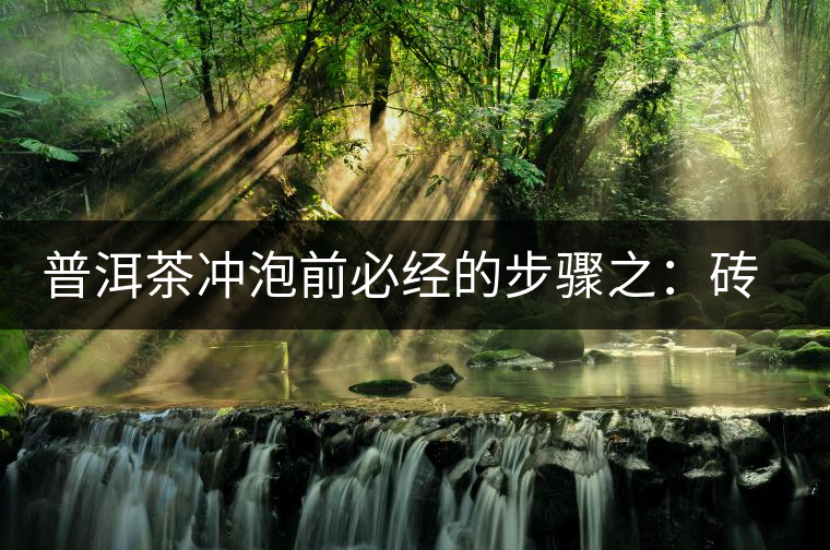 普洱茶沖泡前必經(jīng)的步驟之：磚茶如何撬？