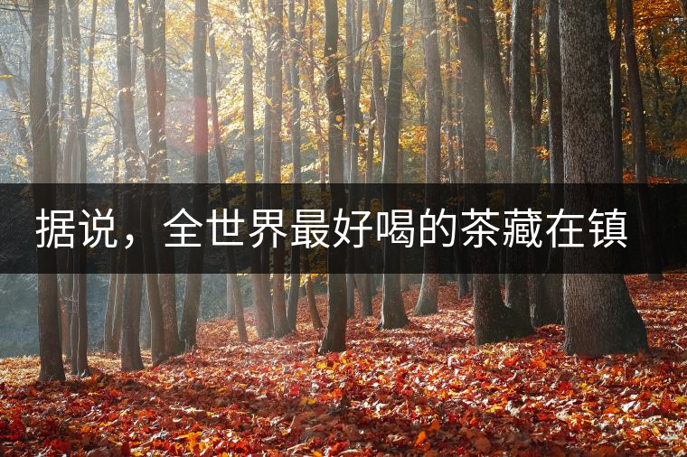 據(jù)說，全世界最好喝的茶藏在鎮(zhèn)沅