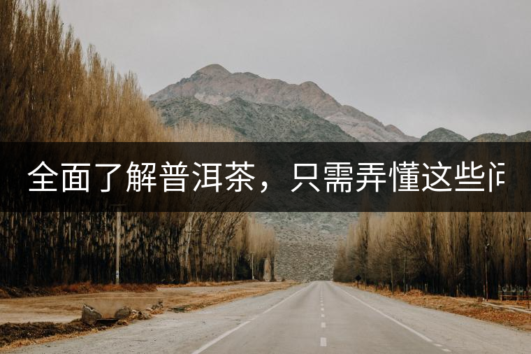 全面了解普洱茶，只需弄懂這些問題！