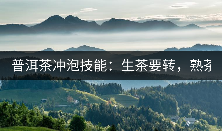 普洱茶沖泡技能：生茶要轉(zhuǎn)，熟茶要柔！
