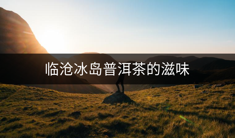 臨滄冰島普洱茶的滋味 臨滄冰島普洱茶的滋味