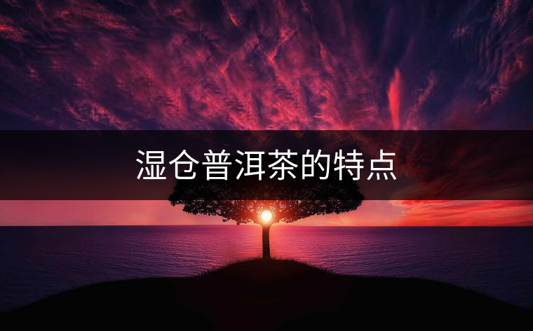 濕倉(cāng)普洱茶的特點(diǎn)