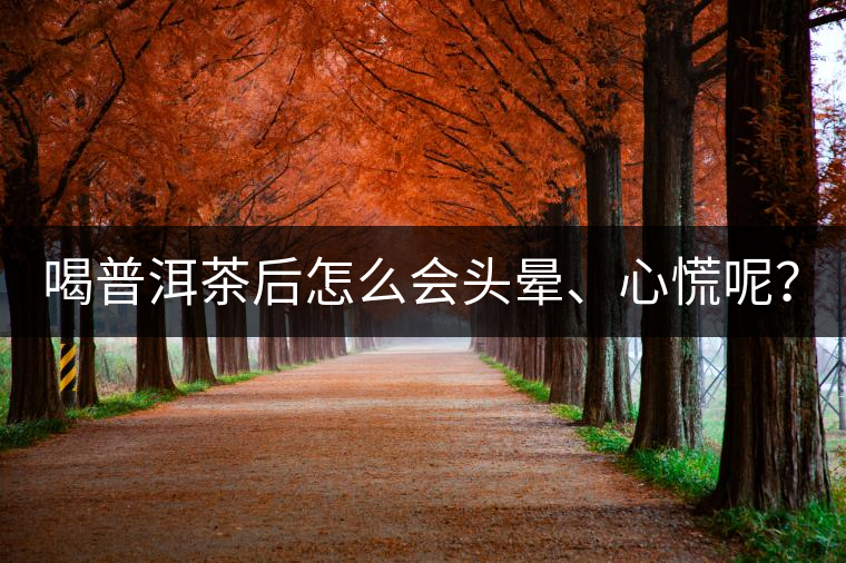 喝普洱茶后怎么會頭暈、心慌呢？