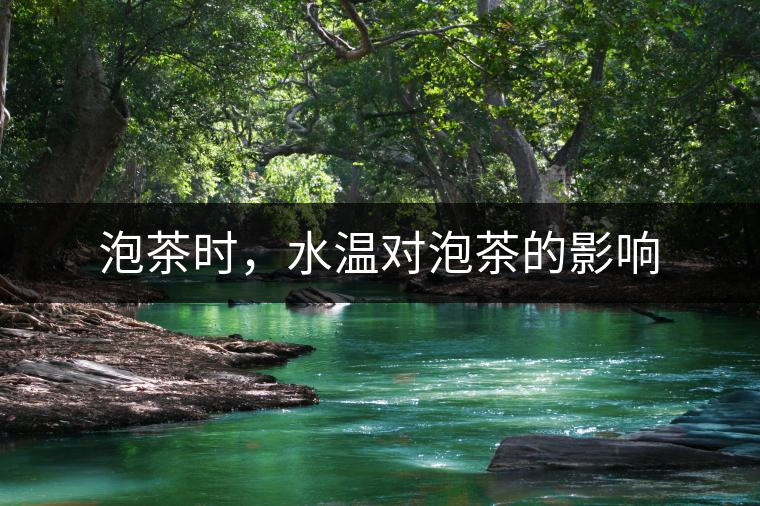 泡茶時，水溫對泡茶的影響