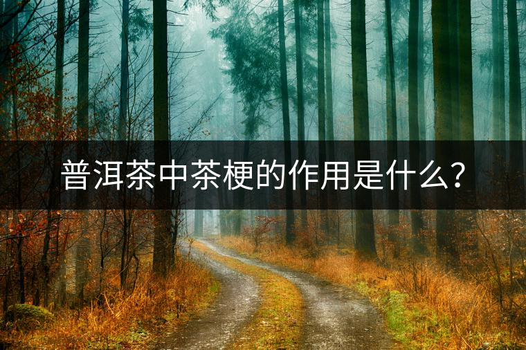 普洱茶中茶梗的作用是什么？