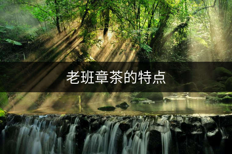 老班章茶的特點(diǎn) 老班章茶的特點(diǎn)