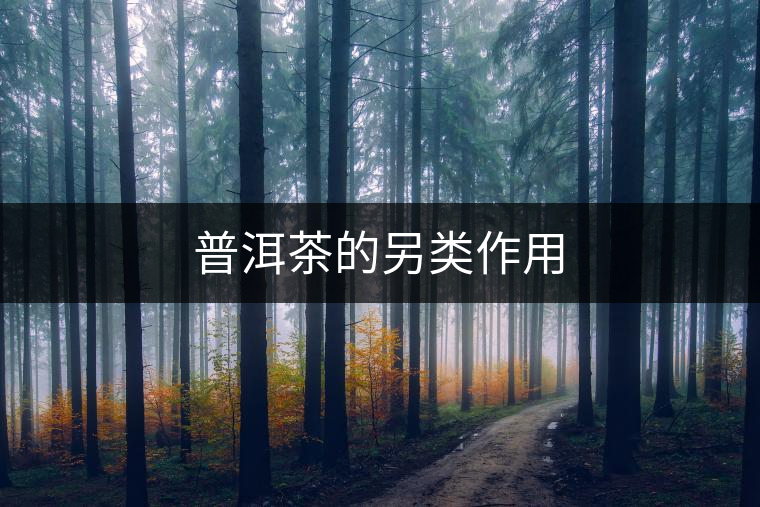 普洱茶的另類(lèi)作用 普洱茶的另類(lèi)作用