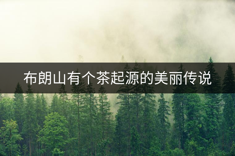 布朗山有個(gè)茶起源的美麗傳說