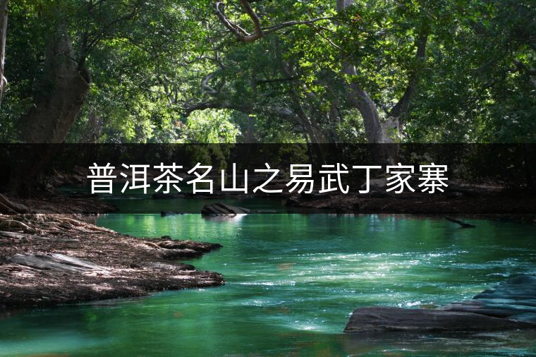 普洱茶名山之易武丁家寨