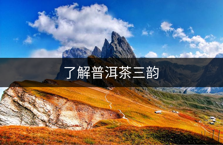 了解普洱茶三韻 了解普洱茶三韻