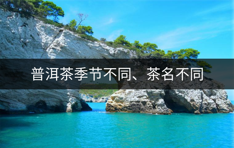 普洱茶季節(jié)不同、茶名不同