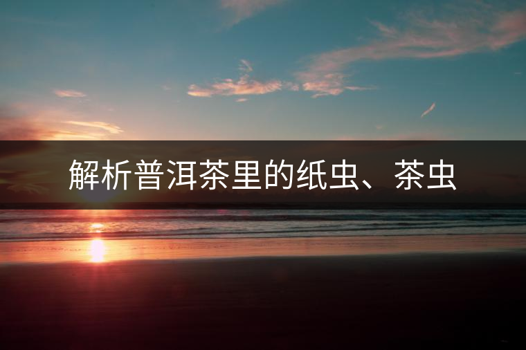 解析普洱茶里的紙蟲、茶蟲