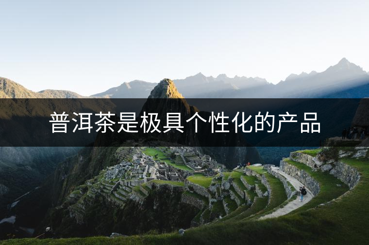 普洱茶是極具個性化的產品