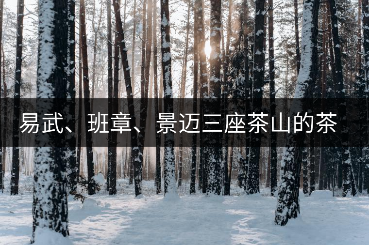 易武、班章、景邁三座茶山的茶比較