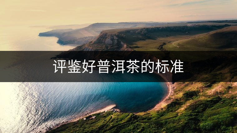 評鑒好普洱茶的標(biāo)準(zhǔn) 評鑒好普洱茶的標(biāo)準(zhǔn)