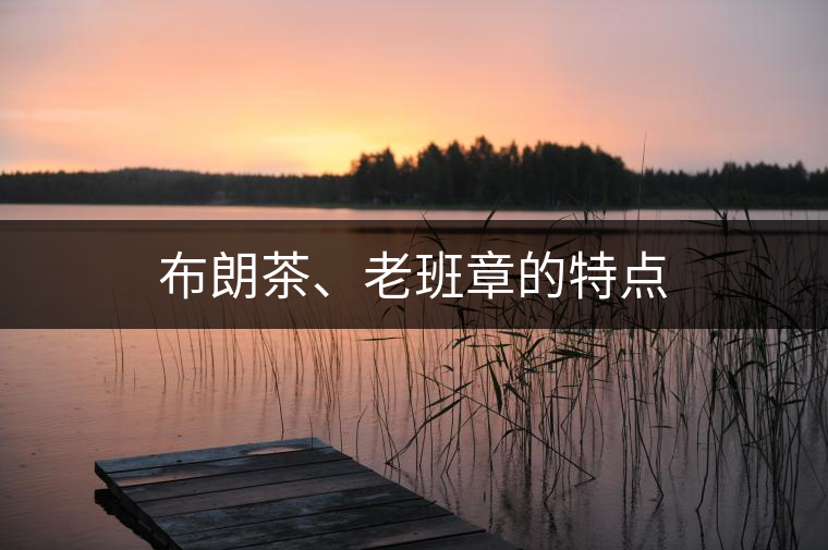 布朗茶、老班章的特點