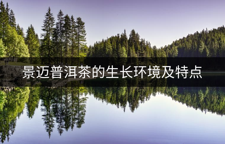 景邁普洱茶的生長(zhǎng)環(huán)境及特點(diǎn) 景邁普洱茶的生長(zhǎng)環(huán)境及特點(diǎn)