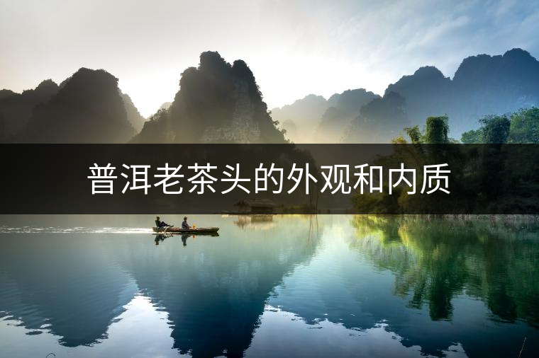 普洱老茶頭的外觀(guān)和內(nèi)質(zhì)