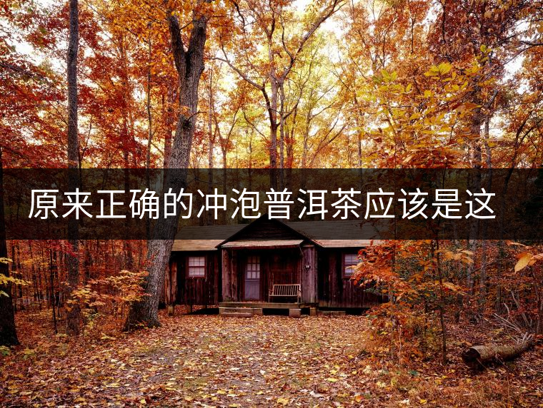 原來正確的沖泡普洱茶應(yīng)該是這樣的 原來正確的沖泡普洱茶應(yīng)該是這樣的