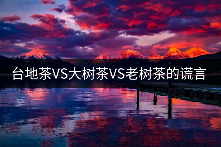 臺地茶VS大樹茶VS老樹茶的謊言你信幾個？