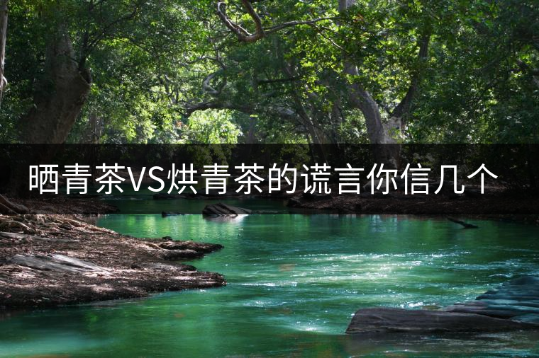 曬青茶VS烘青茶的謊言你信幾個？