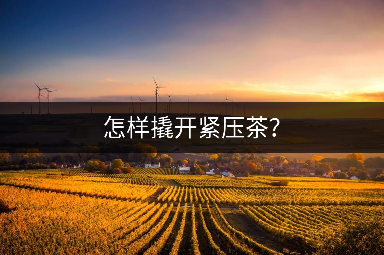 怎樣撬開(kāi)緊壓茶？