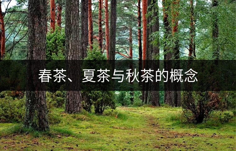 春茶、夏茶與秋茶的概念