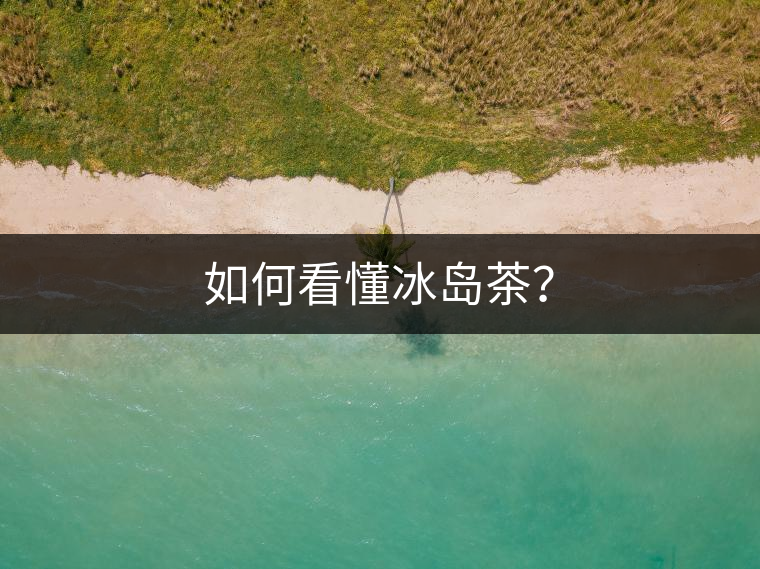 如何看懂冰島茶？