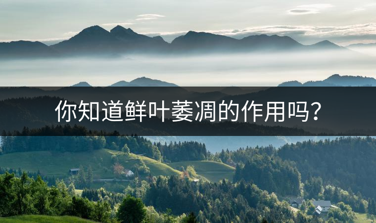 你知道鮮葉萎凋的作用嗎？