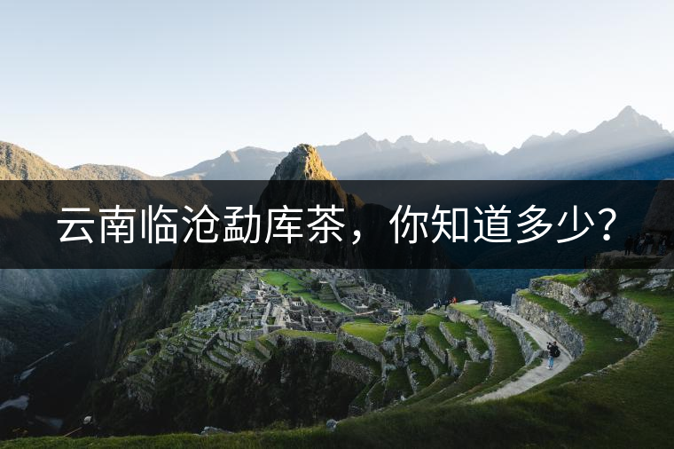 云南臨滄勐庫(kù)茶，你知道多少？