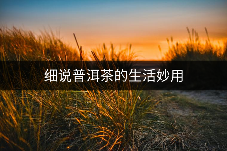 細說普洱茶的生活妙用 細說普洱茶的生活妙用