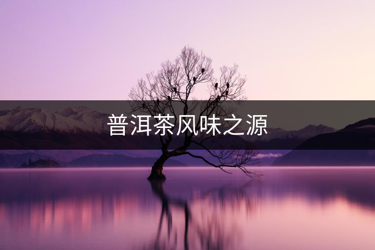 普洱茶風(fēng)味之源 普洱茶風(fēng)味之源
