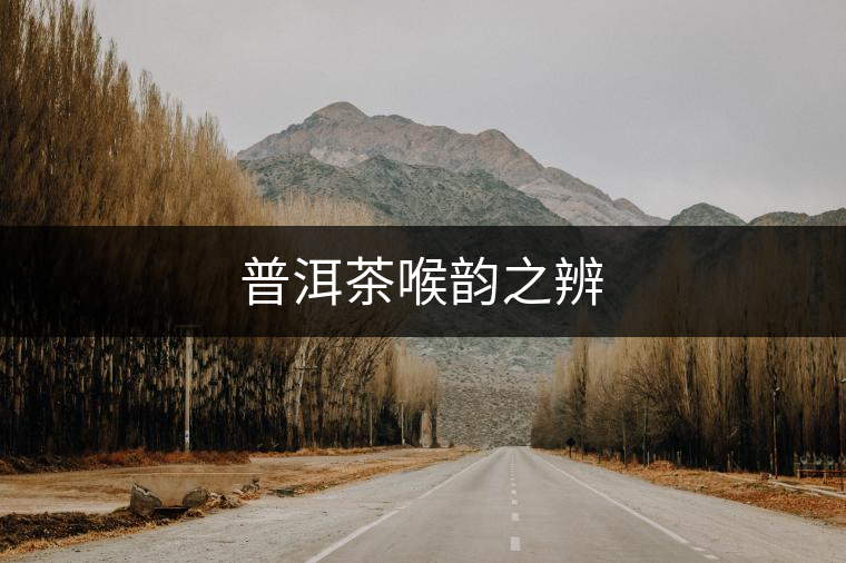 普洱茶喉韻之辨 普洱茶喉韻之辨