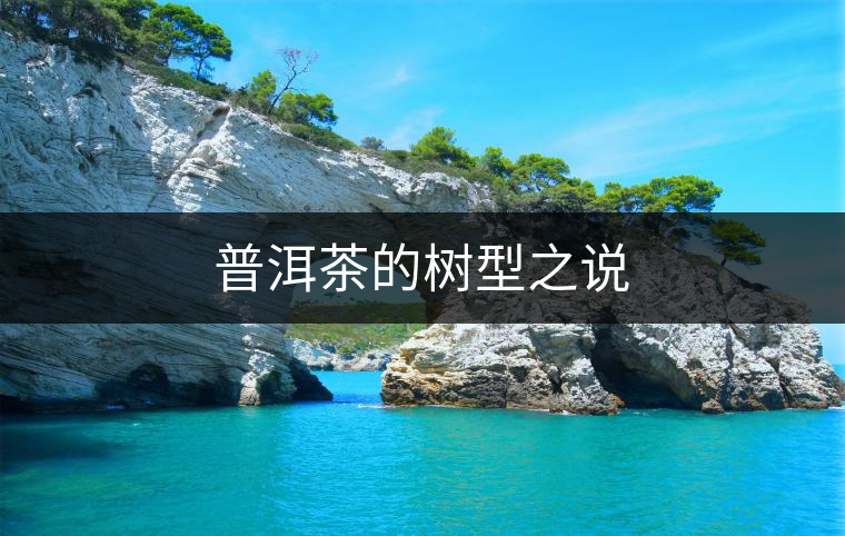 普洱茶的樹(shù)型之說(shuō)