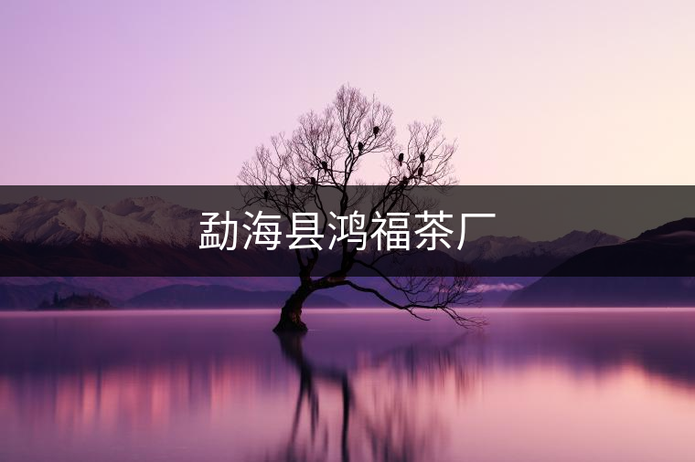 勐?？h鴻福茶廠