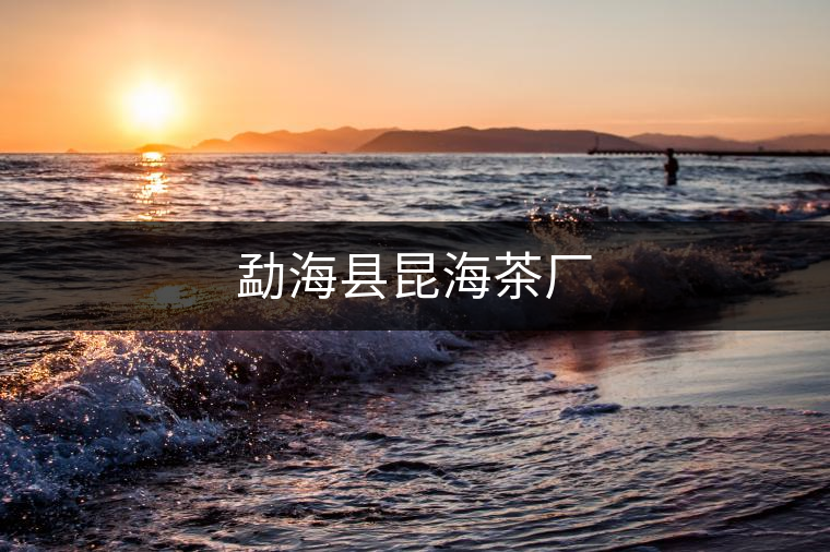 勐?？h昆海茶廠