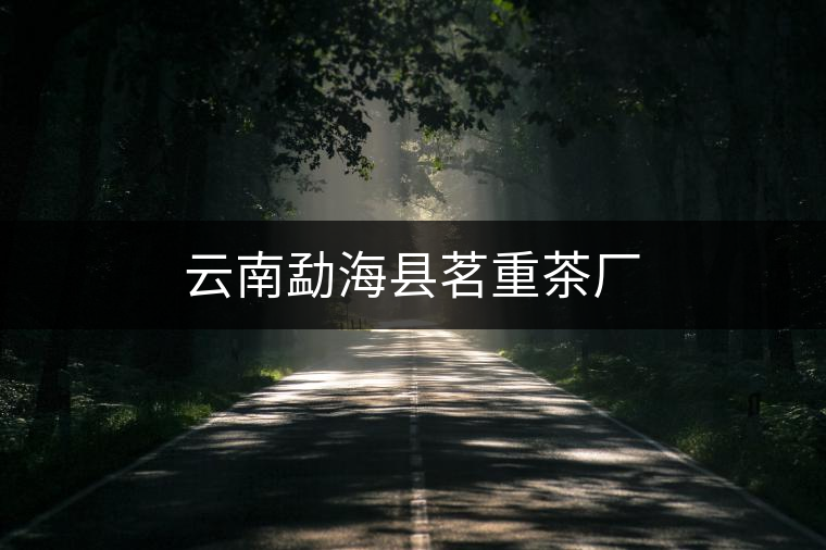 云南勐?？h茗重茶廠