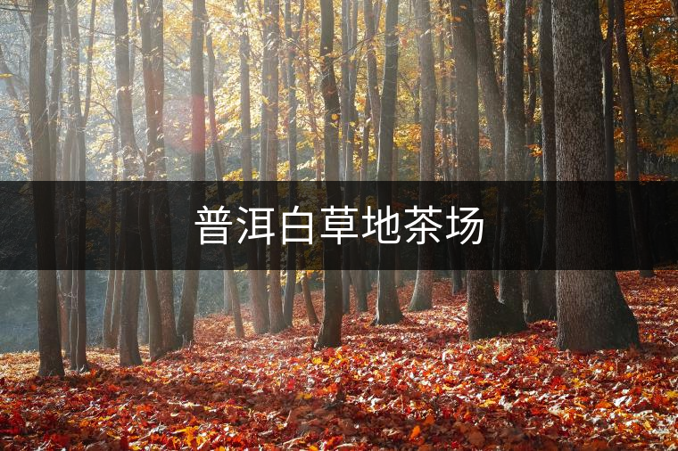 普洱白草地茶場(chǎng)