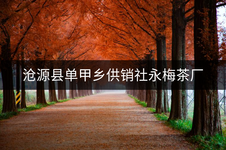 滄源縣單甲鄉(xiāng)供銷(xiāo)社永梅茶廠
