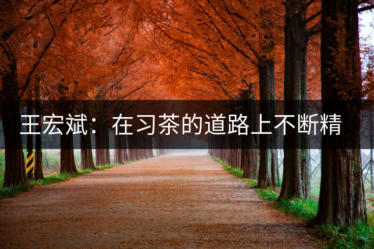 王宏斌：在習茶的道路上不斷精進