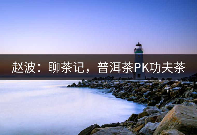 趙波：聊茶記，普洱茶PK功夫茶