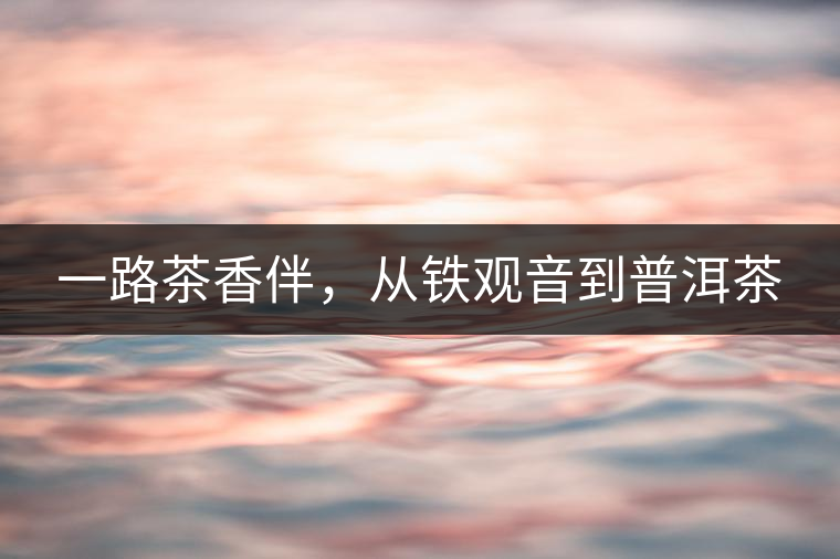 一路茶香伴，從鐵觀音到普洱茶