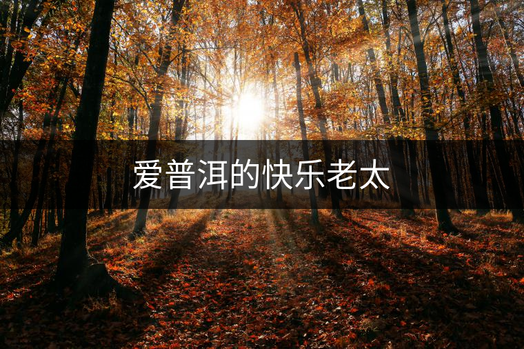 愛普洱的快樂老太