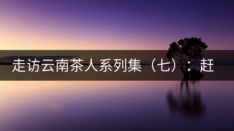 走訪云南茶人系列集（七）：趕騾趕馬上茶山——杜春嶧