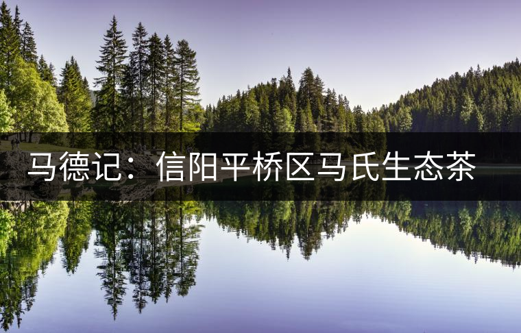 馬德記：信陽平橋區(qū)馬氏生態(tài)茶葉合作社負責(zé)人